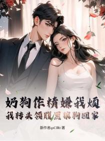 寒门秀才重生妻全文免费阅读